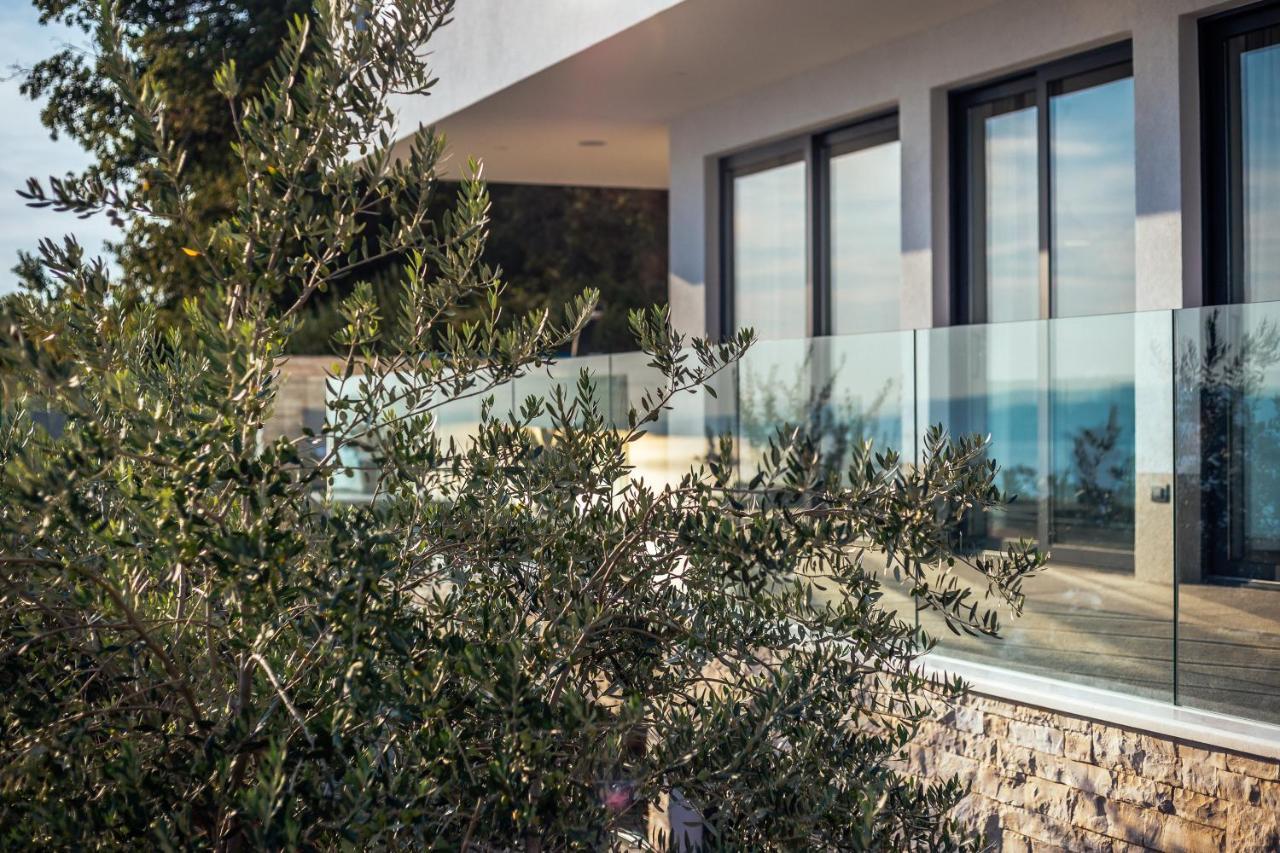 Villa Dispet With Heated Pool, Jacuzzi, Sauna And Cinema Čelina Exterior foto